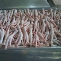 Halal Frozen Chicken paws / Frozen Chicken Paws Brazil Origin