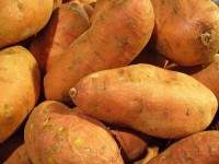 High Grade Egypt Organic Fresh Sweet Potatoes Vegetables for Wholesale Purchase