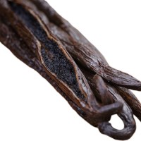 Premium Quality Vanilla Beans for Sale in Bulk Wholesale with Natural Raw Organic Vanilla Beans for Cooking