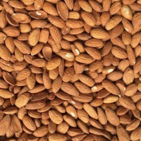 Good Quality Almond nuts for sale