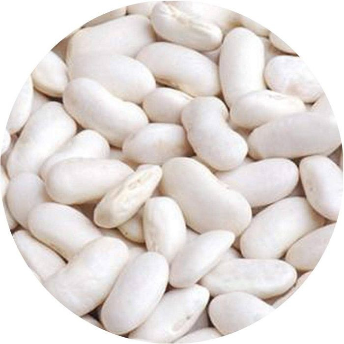 Hot Selling Good Quality Healthy Long White Sugar Bean Dry White Kidney Beans Natur