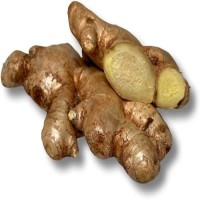 Wholesale Outstanding Quality Bulk Fresh Ginger Organic Fresh Vegetable Ginger