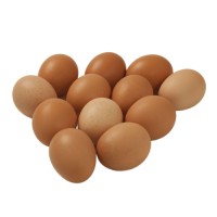 Best Quality Fresh Brown Table Chicken Eggs  For sale