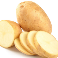 Potato Fresh Sweet Potatoes High Quality Cheap Price Professional Export Wholesalers Fresh Potato