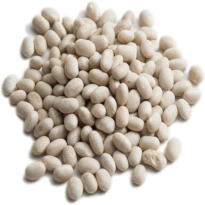 High Quality Organic Dried White Kidney Beans Available For Sale At Low Price