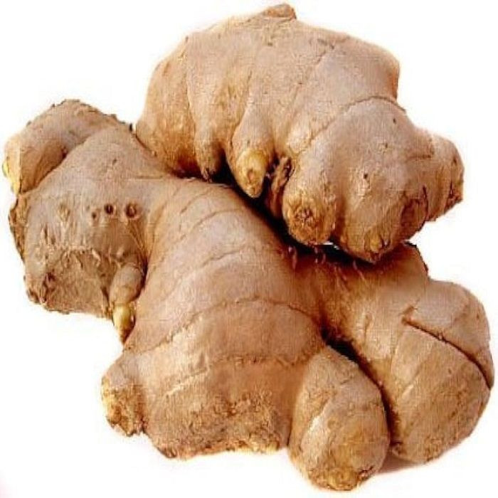 New Dried Ginger For Wholesale Dry Ginger In Bulk Fresh Chinese Ginger For Sale Low Price