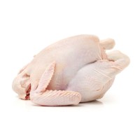 Buy Halal Frozen Whole Chicken and Parts Frozen Chicken Breast / Cheap Whole Chicken