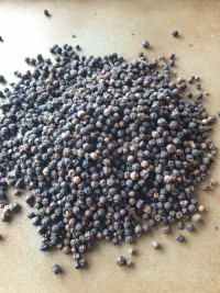 New Crop Export Black Pepper Vietnam 500 550 570 gl bold 5mm High Quality Pepper