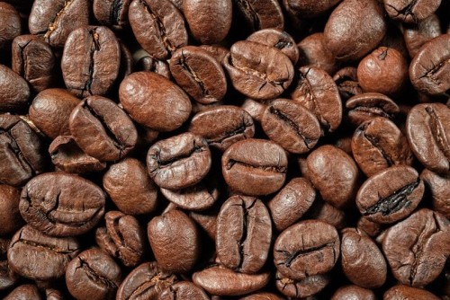 Top Grade Robusta coffee bean