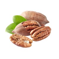 Premium Organic Roasted and Fresh Pecan Nuts inshell Pecans Raw Pecan Nuts For Wholesale