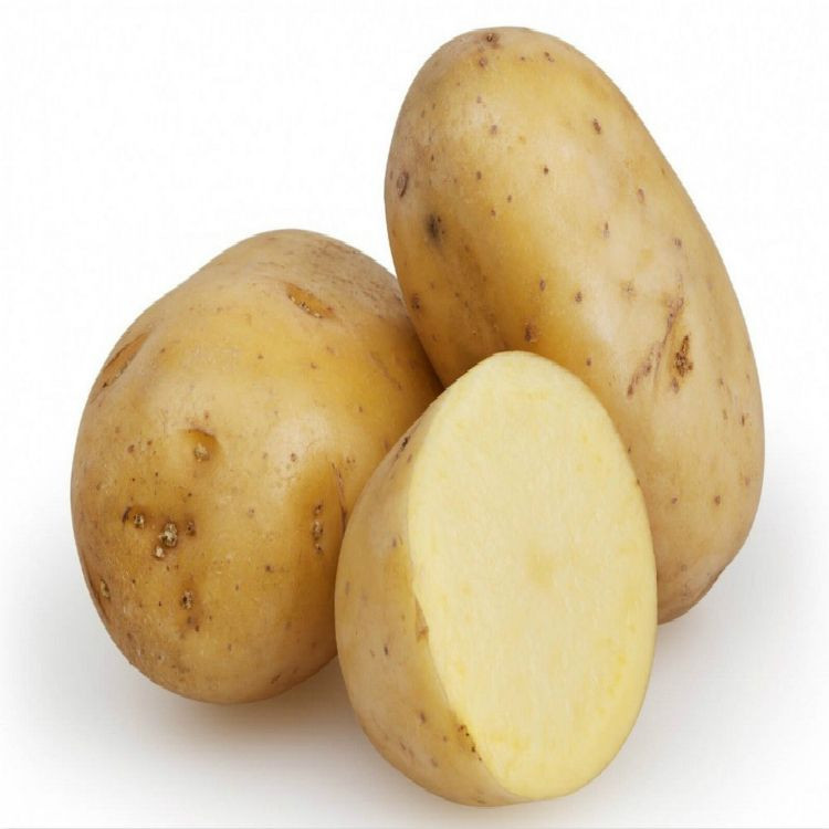 Hot Sale Round Shape Potato Fresh Potatoes with shallow to medium Organic Potato With High Quality At Wholesale Rate