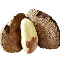 Brazil nuts for sale at cheap price High Quality Brazil Nuts Wholesale Suppliers Raw Pine Nuts for Sale Pine Prices