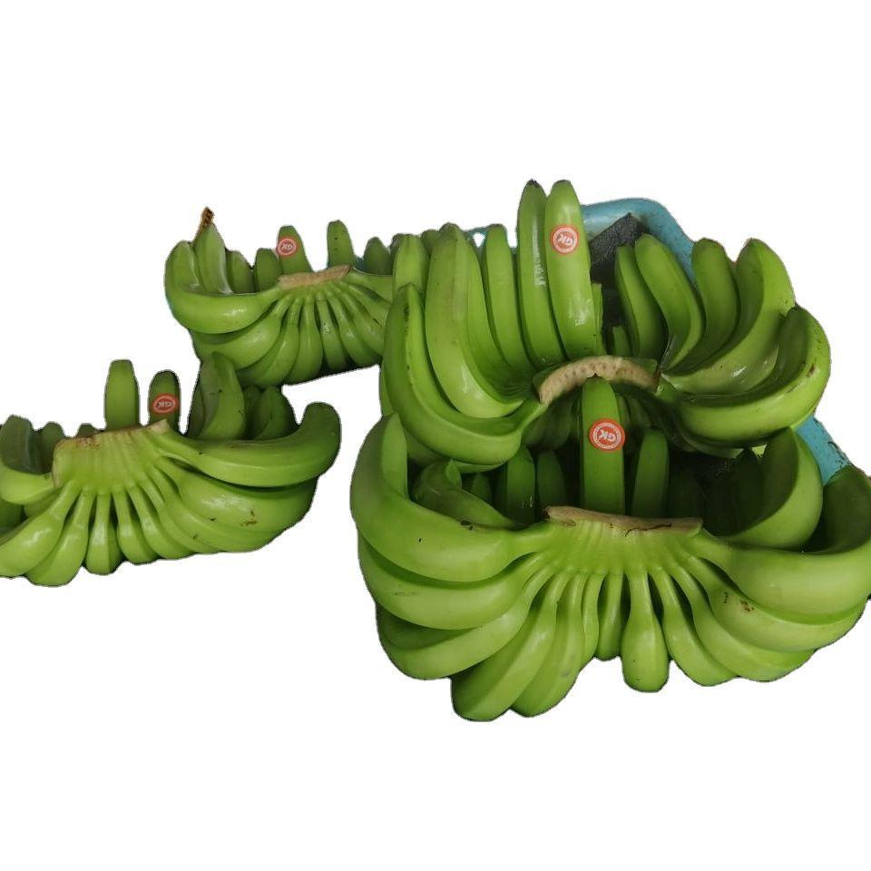 Wholesale Cavendish Banana Green/ Yellow Banana Fresh Cavendish Banana