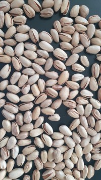 High quality pistachio dried pistachio nuts with salt pistachios