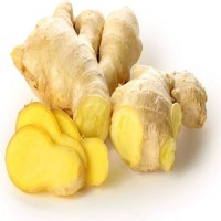 Wholesale Outstanding Quality Bulk Fresh Ginger Organic Fresh Vegetable Ginger