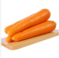 Fresh organic vegetables wholesale carrot Good price carrots available for export