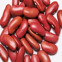 Wholesale Supplier Best Quality Red kidney Beans For Sale In Cheap Price Best Quality