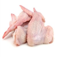 Bulk chicken wing for sale / Frozen Chicken wings for wholesale / Fresh chicken wings for wholesale