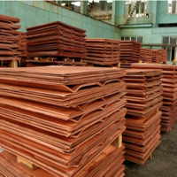 Copper Cathode Pure 99.99% Factory Price Cathode Copper Copper Cathode for sale