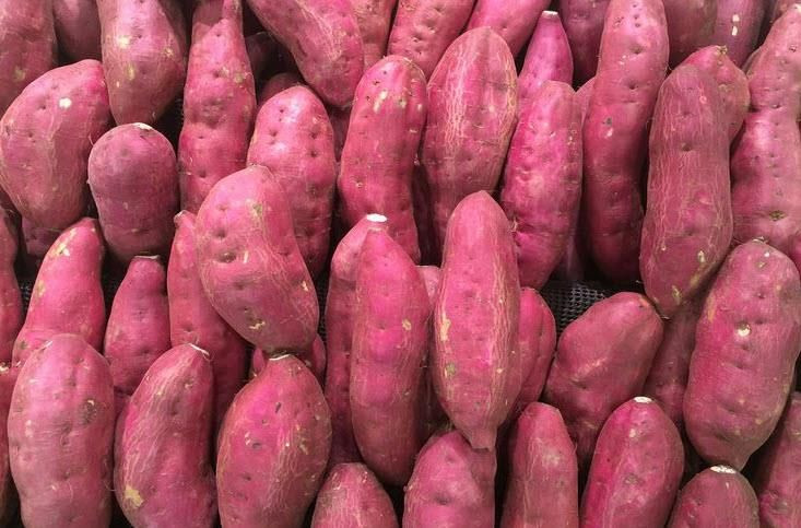 High Grade Egypt Organic Fresh Sweet Potatoes Vegetables for Wholesale Purchase