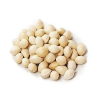 Certified Frozen Ginkgo Nut/high grade ginkgo nuts for sale/buy bulk ginkgo nuts