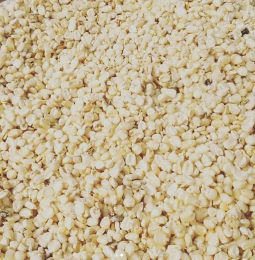 White Corn for human consumption for sale