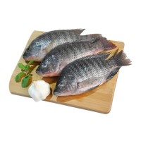 Seafood Frozen Tilapia Fish Price 350g-550g live fish Frozen Tilapia Fish Black Tilapia