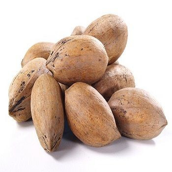 Premium Organic Roasted and Fresh Pecan Nuts inshell Pecans Raw Pecan Nuts For Wholesale