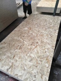 Factory Price ENF/NAF Grade 1250*2500 OSB Sheet Oriented Strand Boards OSB Platten 18 China OSB Board