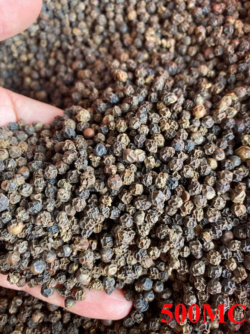 New Crop Export Black Pepper Vietnam 500 550 570 gl bold 5mm High Quality Pepper
